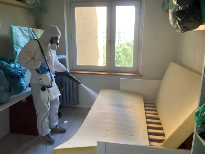 Oprysk konstrukcji łóżka podczas zabiegu na pluskwy domowe w mieszkaniu — Venator Pestis, usługi DDD Kraków i Małopolska