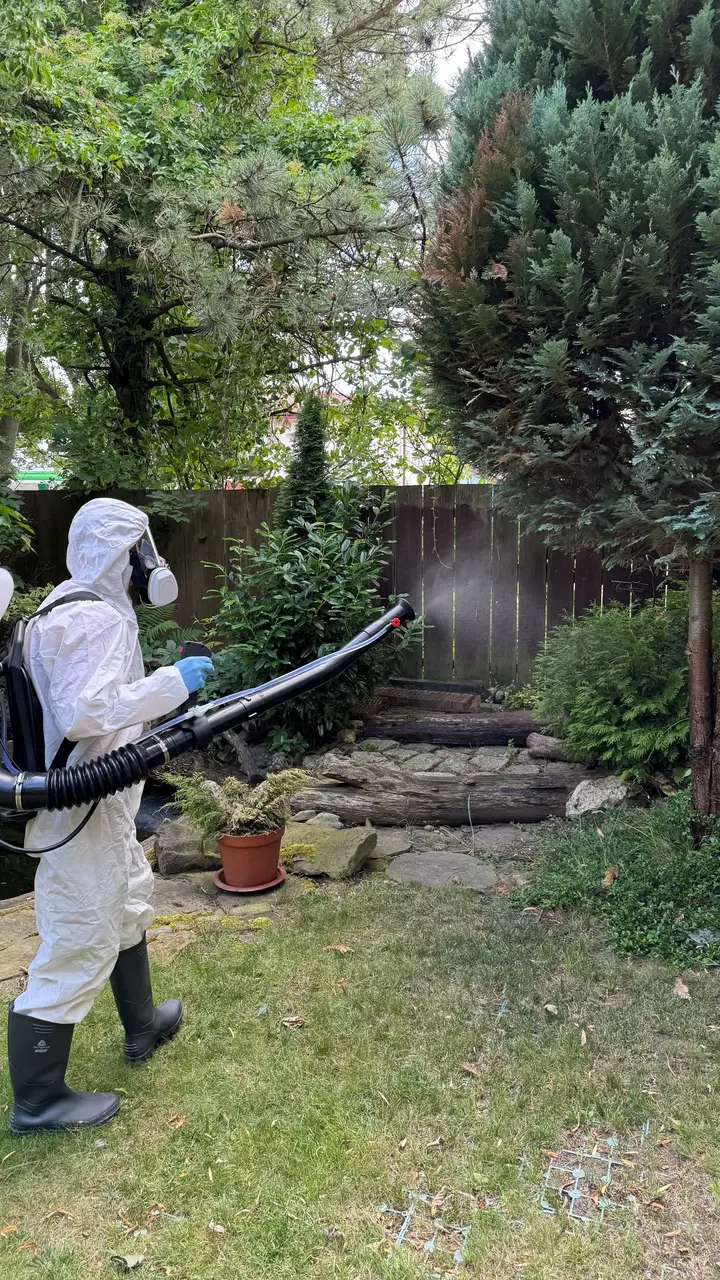 Zamgławianie roślinności w ogrodzie — Venator Pestis, usługi DDD Kraków i Małopolska